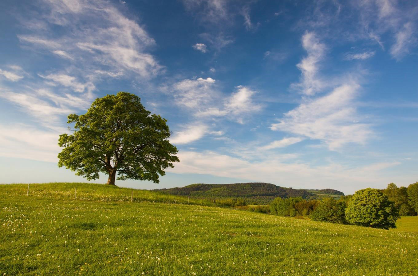 Náhledový obrázek článku: Blíží se Nový rokxxx