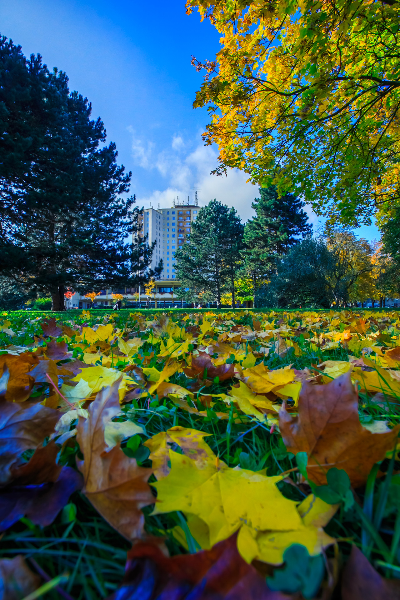 Obrázek 6 z 16 z alba Fotografie obce od fotografa Jana Nováka