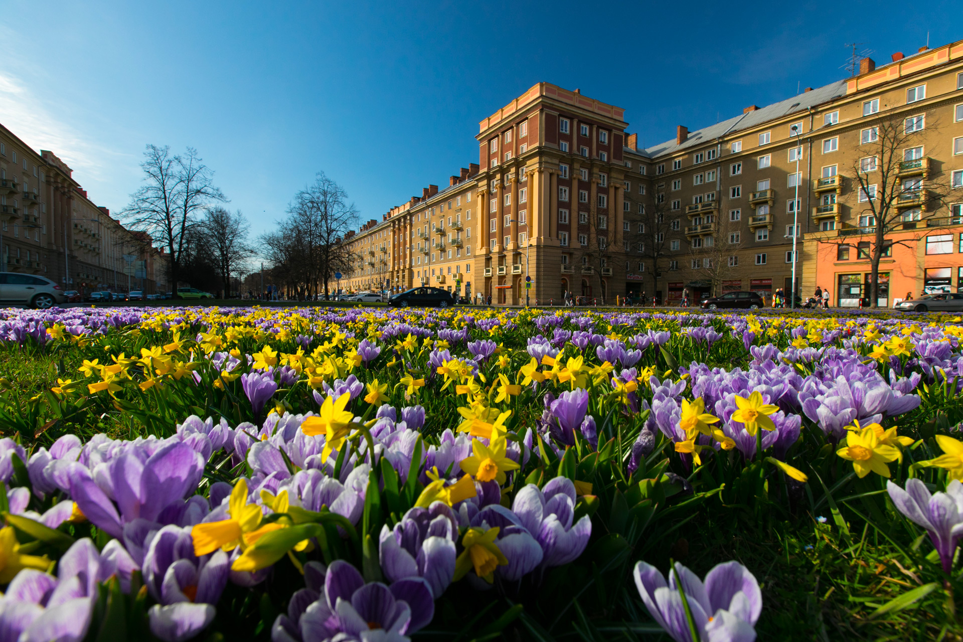 Obrázek mřížkové galerie #7